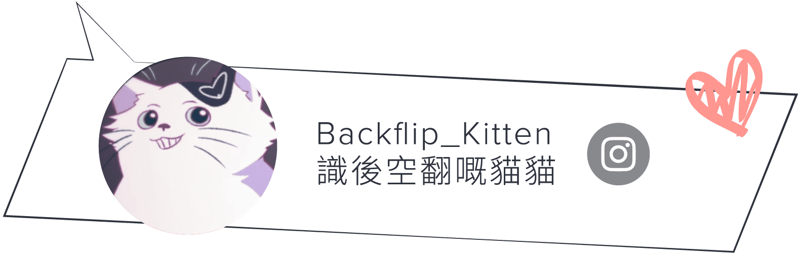 識後空翻嘅貓貓